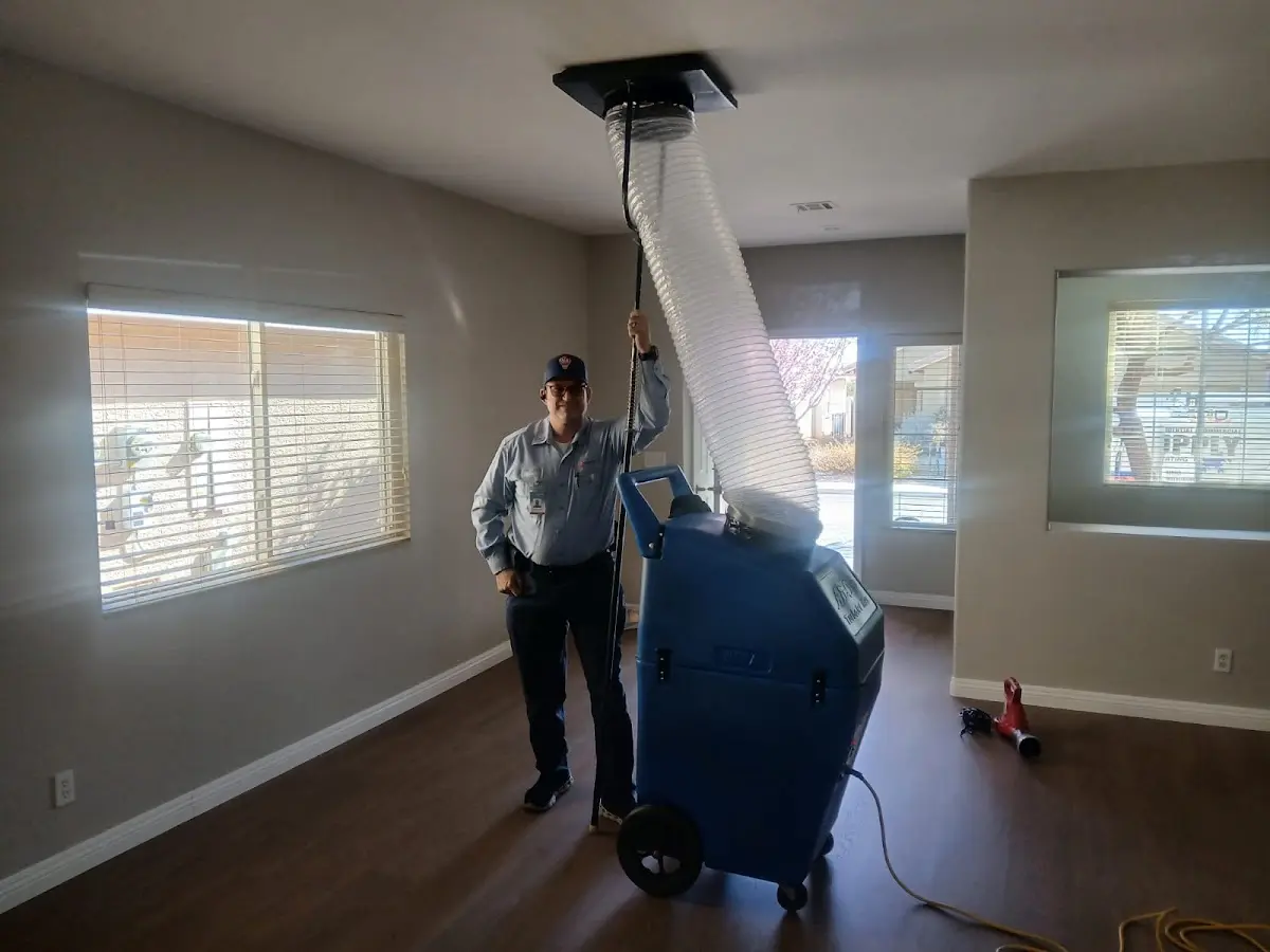 Professional Dryer Vent Cleaning work inside a Dexter home